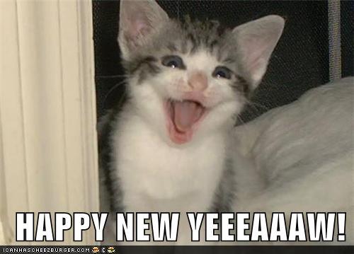 Image result for new year kitten greeting