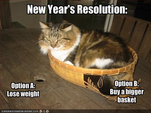 HAPPY NEW YEAR!!! - Cats vs Cancer