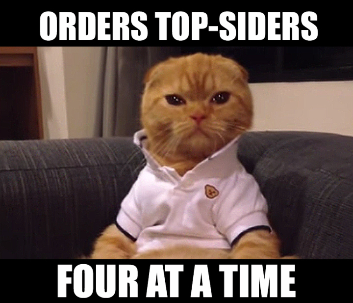 The 10 Best Preppy Cat Memes Cats Vs Cancer